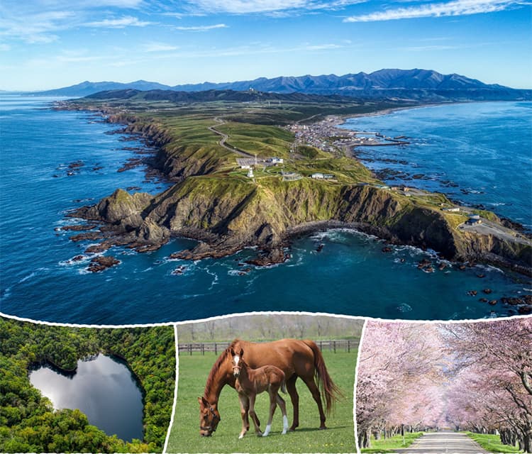 日勝半島 Instagram投稿キャンペーン